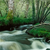 Ilôt Tregrom